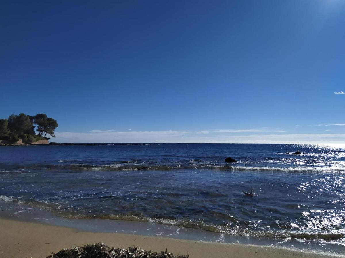 Studio Paradise Entre Mer Et Pins Saint-Raphaël Buitenkant foto